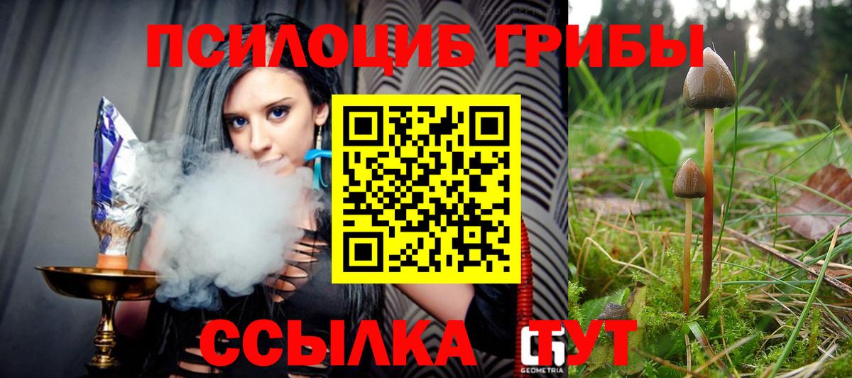 Галлюциногенные грибы Cubensis  Вход с VPN  Котлас 
