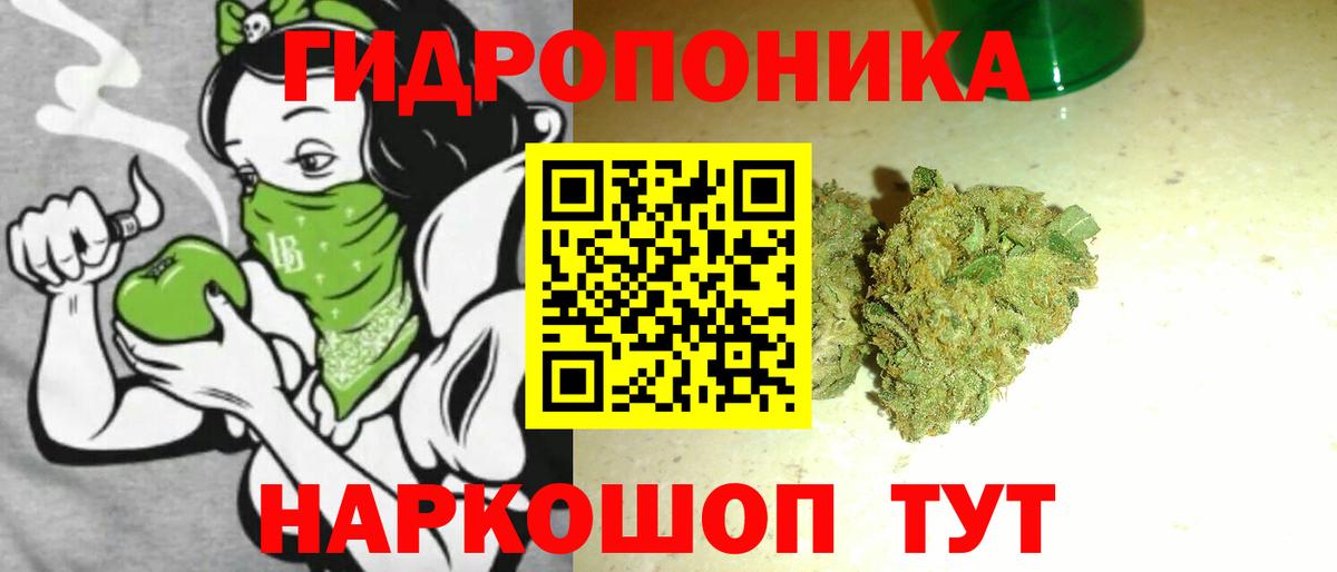 Бошки Шишки Amnesia Котлас
